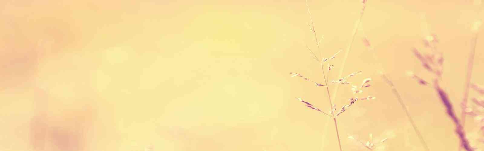 banner1